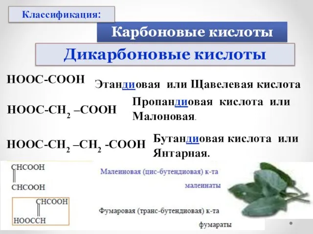 Этандиовая или Щавелевая кислота Пропандиовая кислота или Малоновая. Бутандиовая кислота или