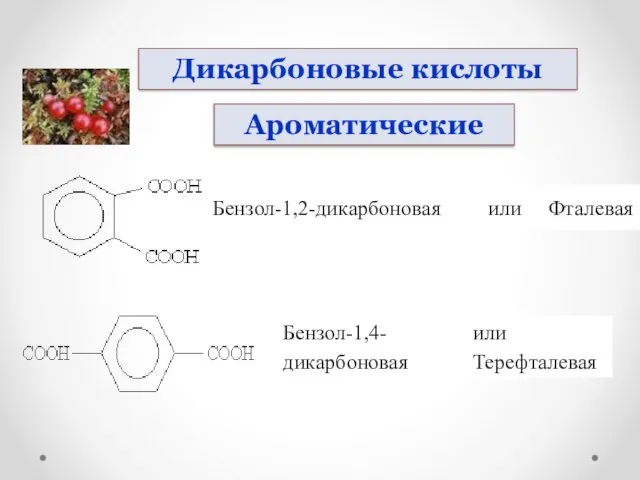 Дикарбоновые кислоты Ароматические