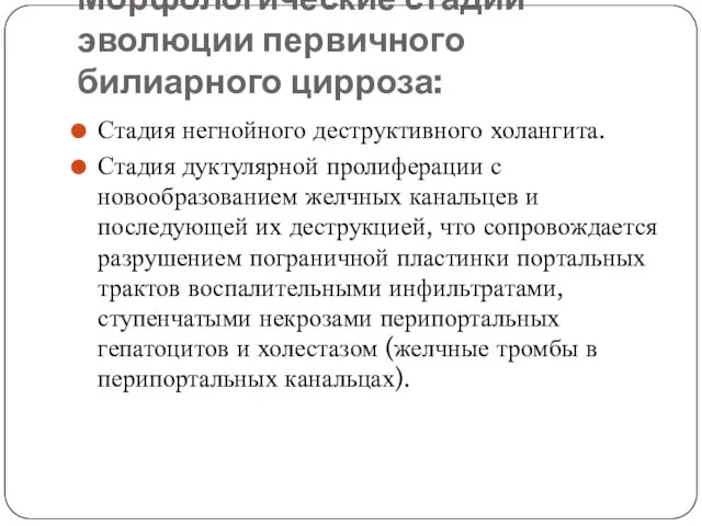 Морфологические стадии эволюции первичного билиарного цирроза: Стадия негнойного деструктивного холангита. Стадия