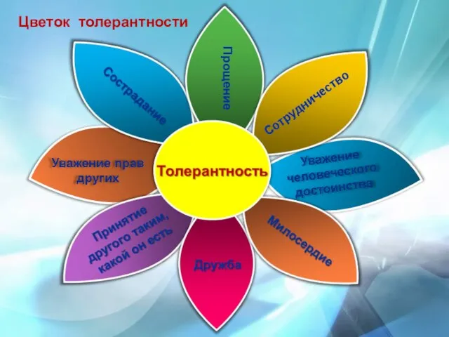 Сотрудничество Прощение Цветок толерантности