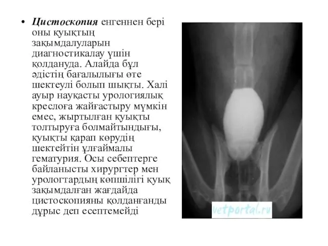 Цистоскопия енгеннен бері оны қуықтың зақымдалуларын диагностикалау үшін қолдануда. Алайда бұл