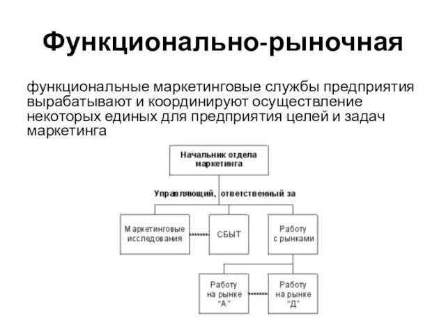 Функционально-рыночная функциональные маркетинговые службы предприятия вырабатывают и координируют осуществление некоторых единых