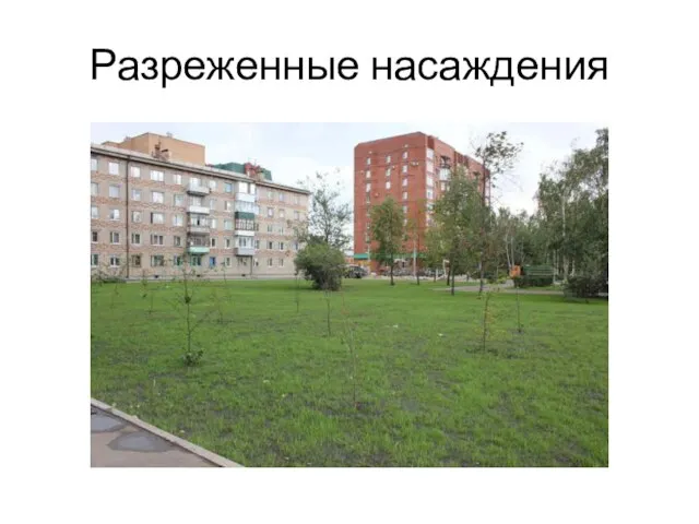 Разреженные насаждения