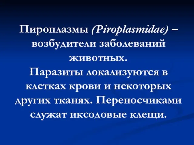 Пироплазмы (Piroplasmidae) – возбудители заболеваний животных. Паразиты локализуются в клетках крови