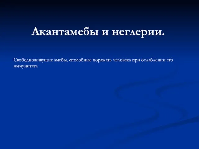 Акантамебы и неглерии. Свободноживущие амебы, способные поражать человека при ослаблении его иммунитета