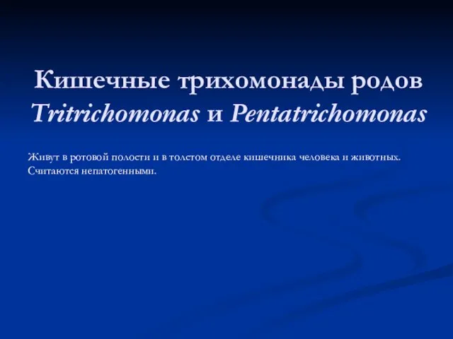 Кишечные трихомонады родов Tritrichomonas и Pentatrichomonas Живут в ротовой полости и