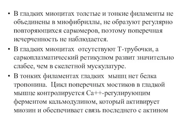 В гладких миоцитах толстые и тонкие филаменты не объединены в миофибриллы,