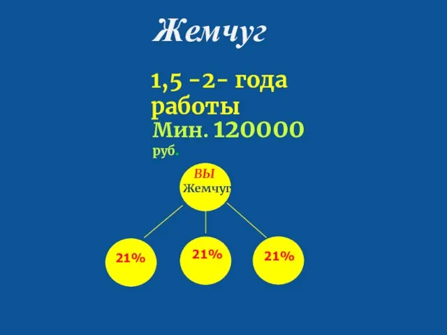 Жемчуг 100 21% 21% 21% Жемчуг 1,5 -2- года работы 21% ВЫ Мин. 120000 руб.