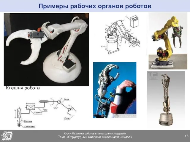 Примеры рабочих органов роботов Клешня робота