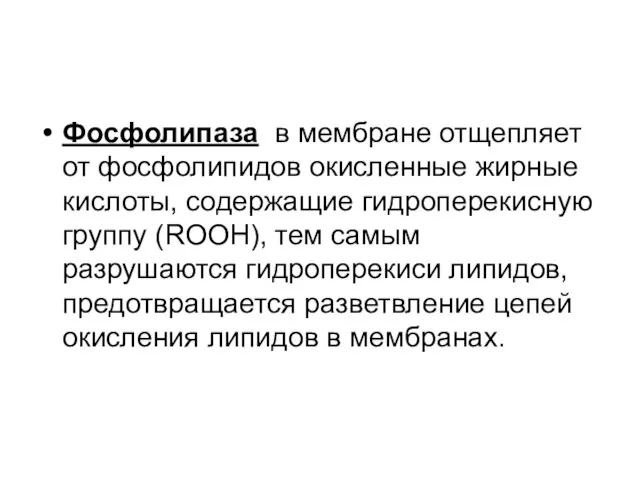 Фосфолипаза в мембране отщепляет от фосфолипидов окисленные жирные кислоты, содержащие гидроперекисную