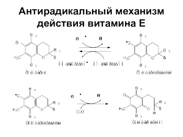 Антирадикальный механизм действия витамина Е