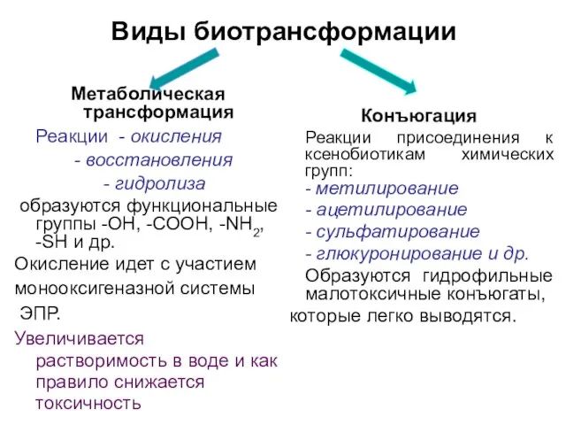 Виды биотрансформации Метаболическая трансформация Реакции - окисления - восстановления - гидролиза