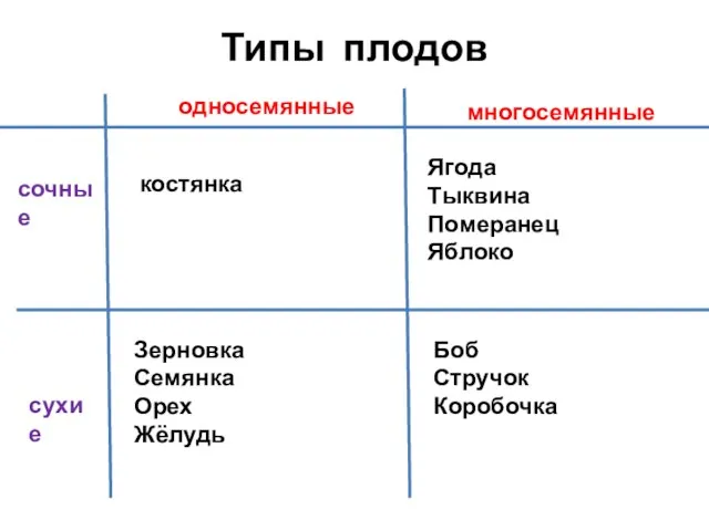 Типы плодов односемянные многосемянные сочные сухие костянка Ягода Тыквина Померанец Яблоко