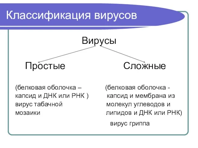 Классификация вирусов Вирусы Простые Сложные (белковая оболочка – (белковая оболочка -