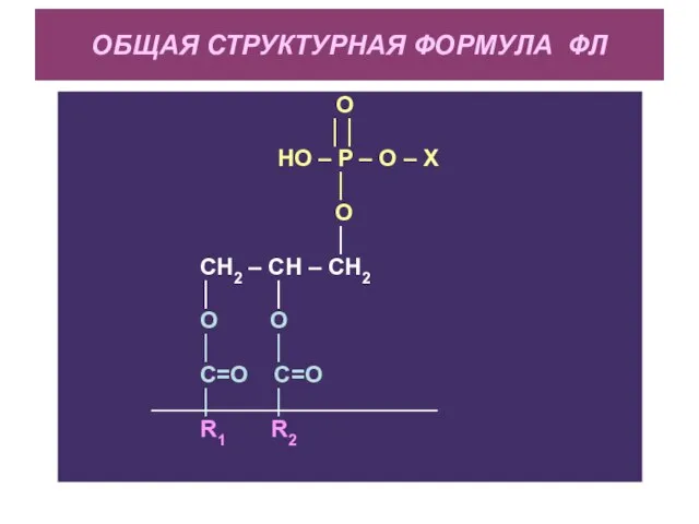 ОБЩАЯ СТРУКТУРНАЯ ФОРМУЛА ФЛ O ││ HO – P – O