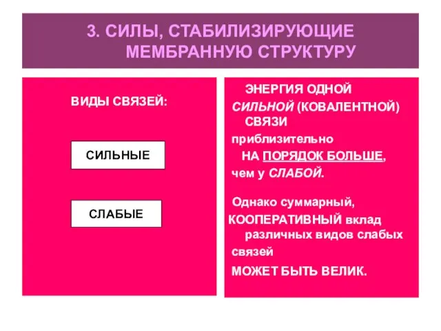 3. СИЛЫ, СТАБИЛИЗИРУЮЩИЕ МЕМБРАННУЮ СТРУКТУРУ ВИДЫ СВЯЗЕЙ: ЭНЕРГИЯ ОДНОЙ СИЛЬНОЙ (КОВАЛЕНТНОЙ)