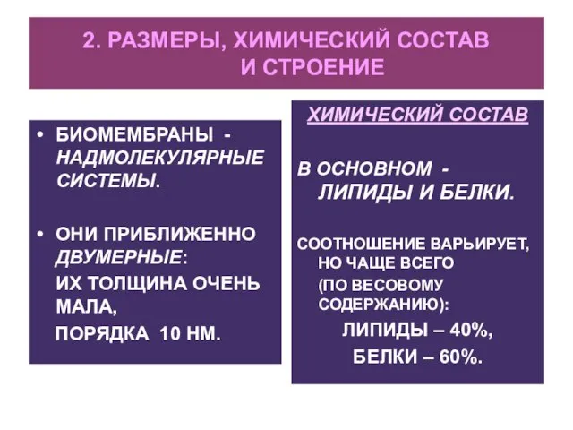 2. РАЗМЕРЫ, ХИМИЧЕСКИЙ СОСТАВ И СТРОЕНИЕ БИОМЕМБРАНЫ - НАДМОЛЕКУЛЯРНЫЕ СИСТЕМЫ. ОНИ