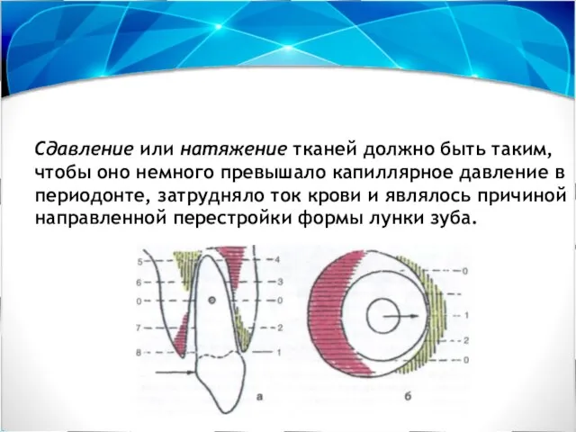 Сдавление или натяжение тканей должно быть таким, чтобы оно немного превышало