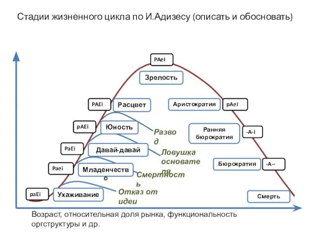 Стадии жизненного цикла по И.Адизесу (описать и обосновать) Возраст, относительная доля рынка, функциональность оргструктуры и др.