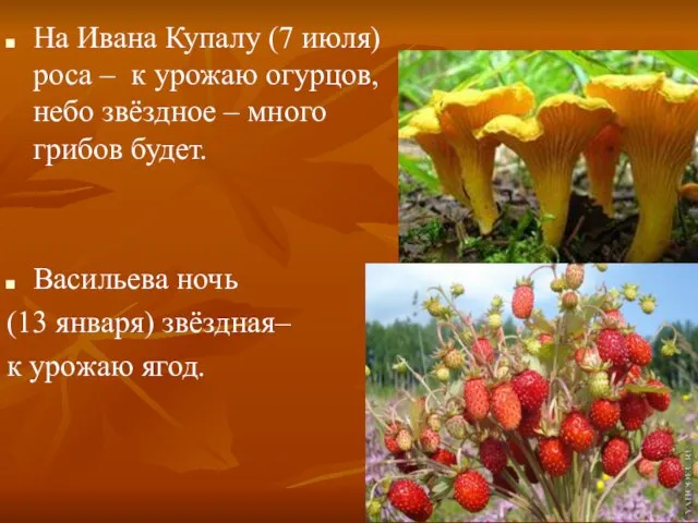 На Ивана Купалу (7 июля) роса – к урожаю огурцов, небо