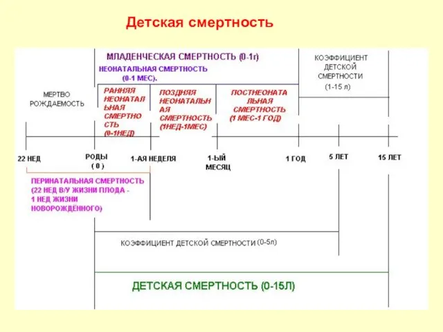 Детская смертность Детская смертность