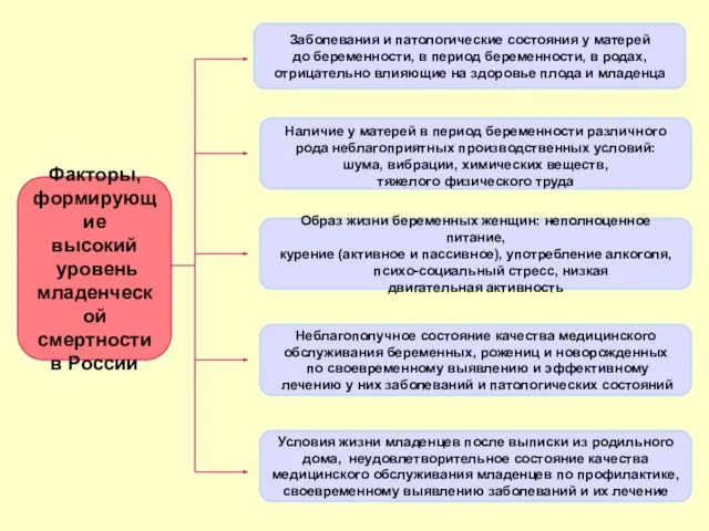 Факторы, формирующие высокий уровень младенческой смертности в России Заболевания и патологические