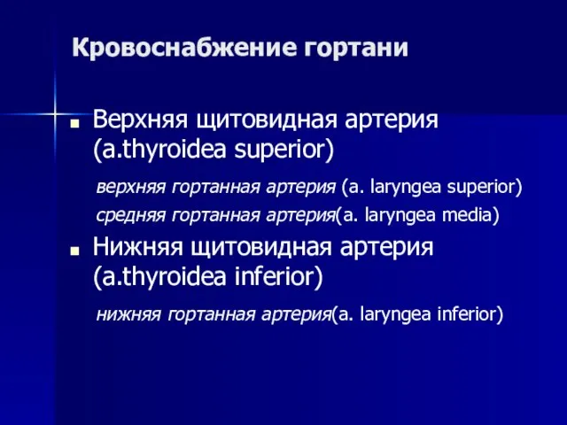 Кровоснабжение гортани Верхняя щитовидная артерия (a.thyroidea superior) верхняя гортанная артерия (a.