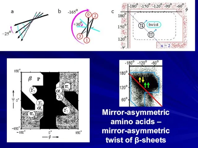 Mirror-asymmetric amino acids – mirror-asymmetric twist of β-sheets