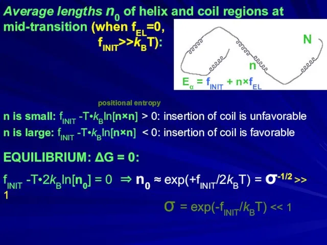 Average lengths n0 of helix and coil regions at mid-transition (when