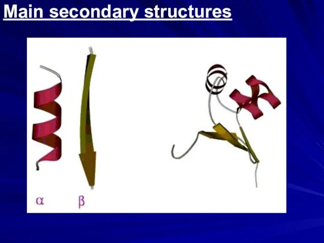 Main secondary structures