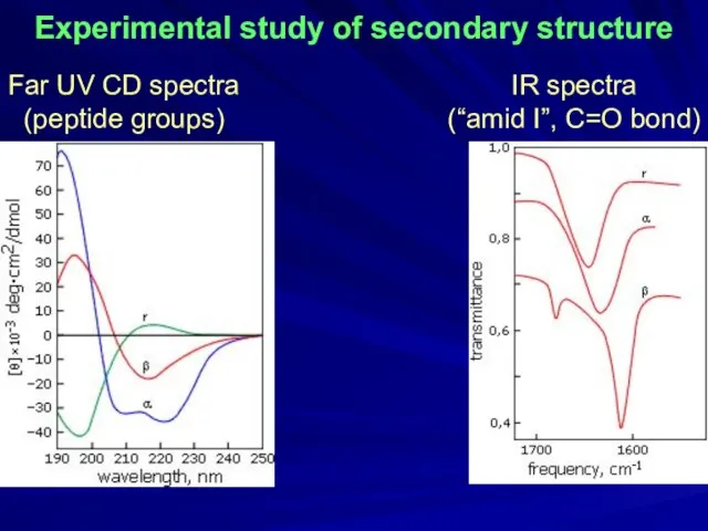 Far UV CD spectra (peptide groups) IR spectra (“amid I”, C=O