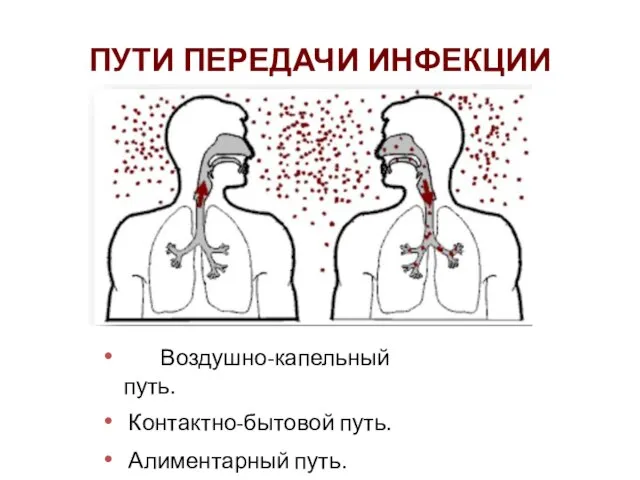 ПУТИ ПЕРЕДАЧИ ИНФЕКЦИИ Воздушно-капельный путь. Контактно-бытовой путь. Алиментарный путь.