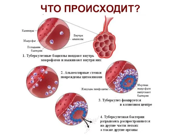 ЧТО ПРОИСХОДИТ?