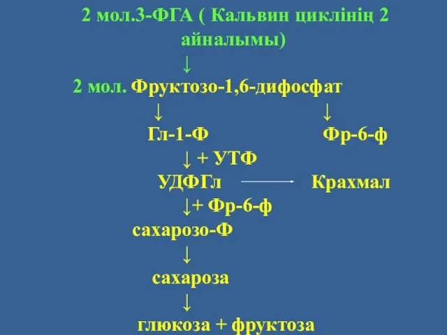 2 мол.3-ФГА ( Кальвин циклінің 2 айналымы) ↓ 2 мол. Фруктозо-1,6-дифосфат