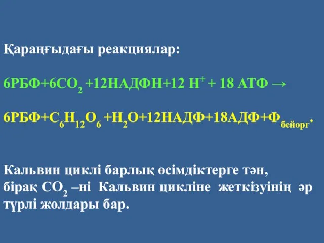 Қараңғыдағы реакциялар: 6РБФ+6СО2 +12НАДФН+12 Н+ + 18 АТФ → 6РБФ+С6Н12О6 +Н2О+12НАДФ+18АДФ+Фбейорг.