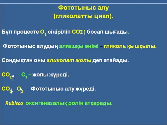 Фототыныс алу (гликолатты цикл). Бұл процесте О2 сіңіріліп СО2↑ босап шығады.