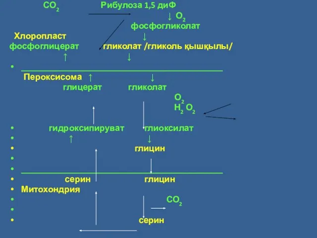 СО2 Рибулоза 1,5 диФ ↓ О2 фосфогликолат Хлоропласт ↓ фосфоглицерат гликолат