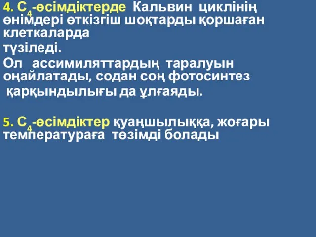 4. С4-өсімдіктерде Кальвин циклінің өнімдері өткізгіш шоқтарды қоршаған клеткаларда түзіледі. Ол