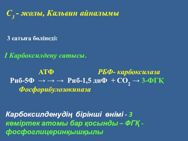 С3 - жолы, Кальвин айналымы 3 сатыға бөлінеді: АТФ РБФ- карбоксилаза