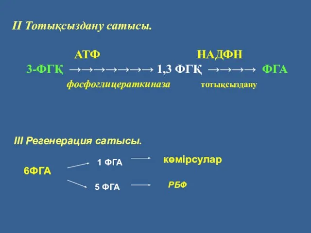 II Тотықсыздану сатысы. АТФ НАДФН 3-ФГҚ →→→→→→→ 1,3 ФГҚ →→→→ ФГА