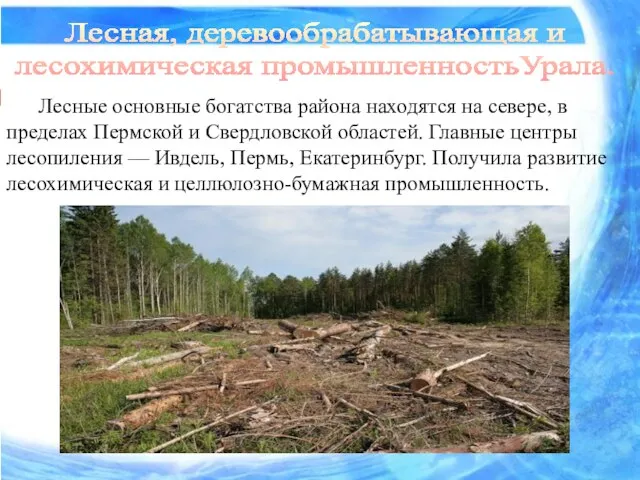 Лесные основные богатства района находятся на севере, в пределах Пермской и