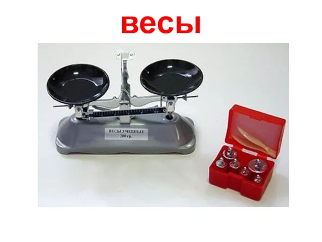 весы