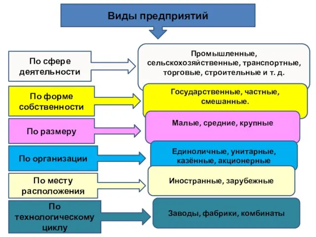 Виды предприятий По сфере деятельности Промышленные, сельскохозяйственные, транспортные, торговые, строительные и