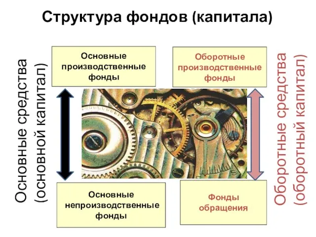 Структура фондов (капитала) Основные средства (основной капитал) Оборотные средства (оборотный капитал)