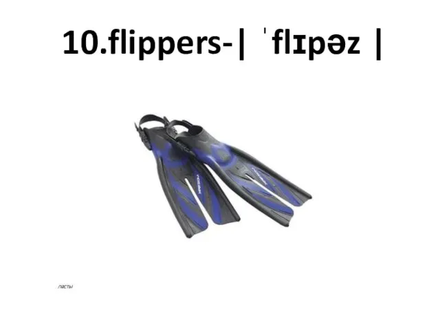 10.flippers-| ˈflɪpəz |