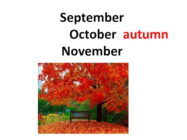 September October autumn November