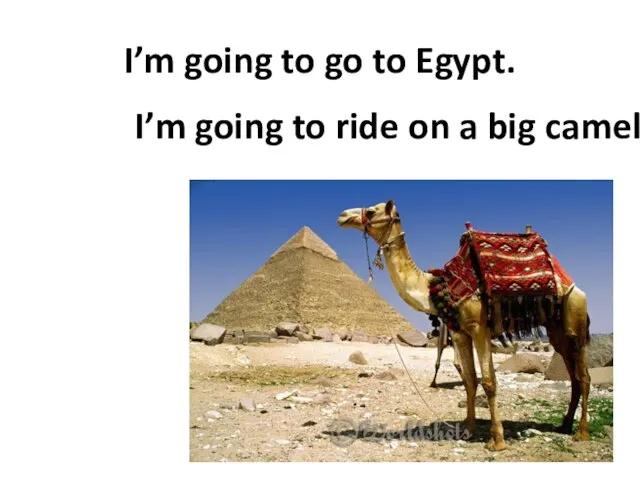 I’m going to go to Egypt. I’m going to ride on a big camel.