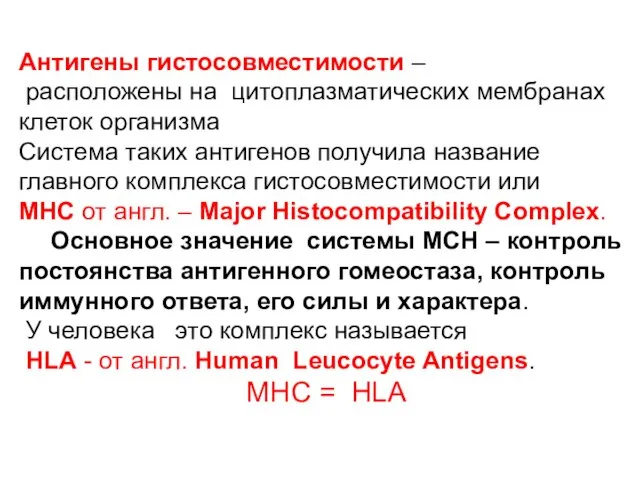 Антигены гистосовместимости – расположены на цитоплазматических мембранах клеток организма Система таких