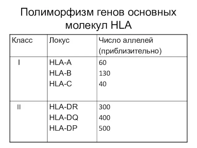 Полиморфизм генов основных молекул НLA