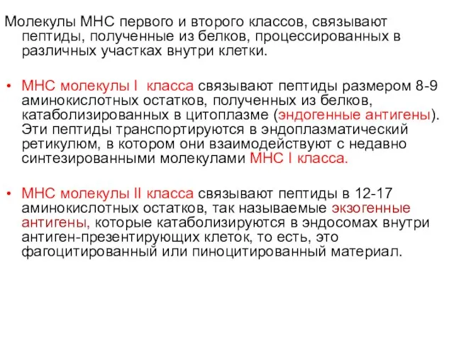 Молекулы MHC первого и второго классов, связывают пептиды, полученные из белков,